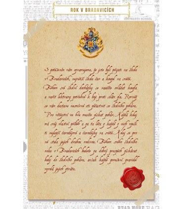 Harry Potter: Rok v Bradavicích